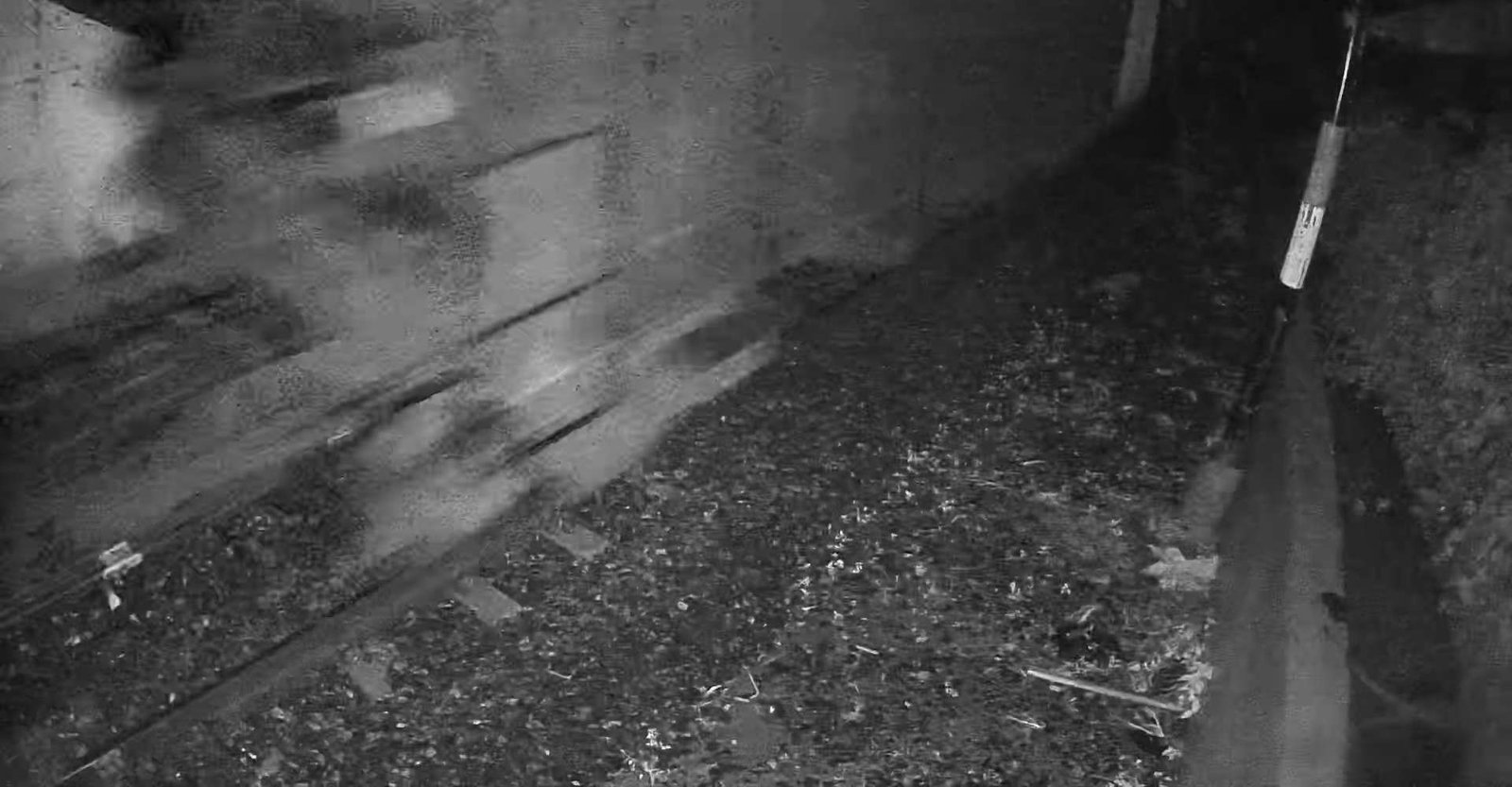 2026-05-21 18:18:23.jpg